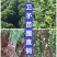 卫茅40—70厘米-各种规格齐全，产地大量供应，苗圃直销