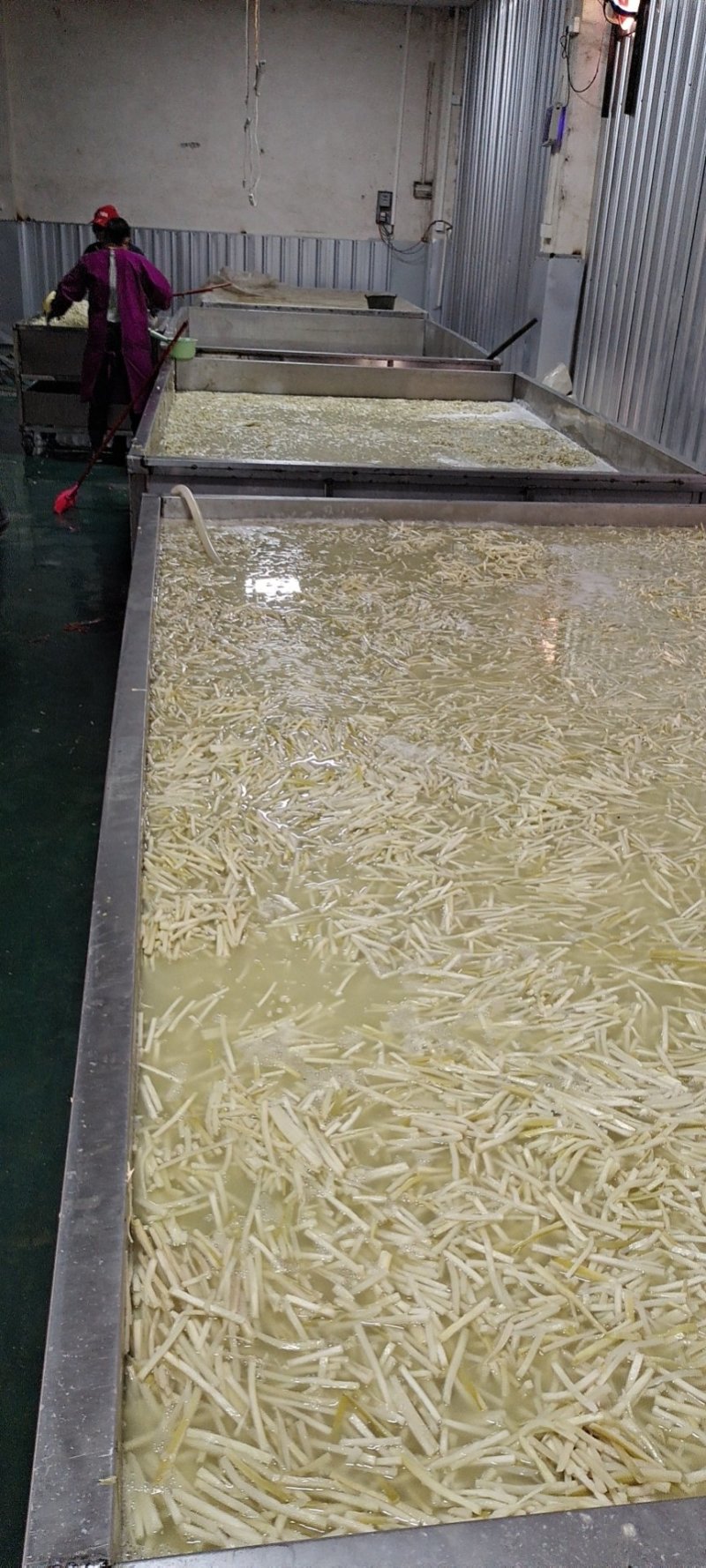 酸笋批发英德西牛特产鲜酸笋农家自制无添加