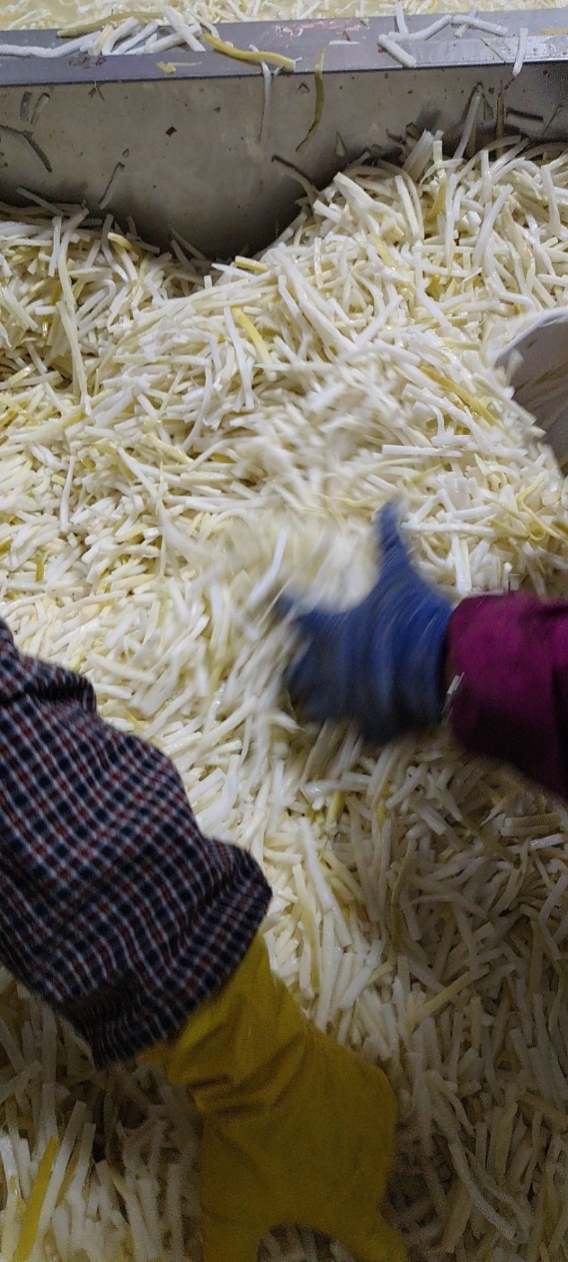 酸笋批发英德西牛特产鲜酸笋农家自制无添加