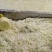广东省英德市西牛镇麻竹笋，盐笋，酸笋。酸笋丝