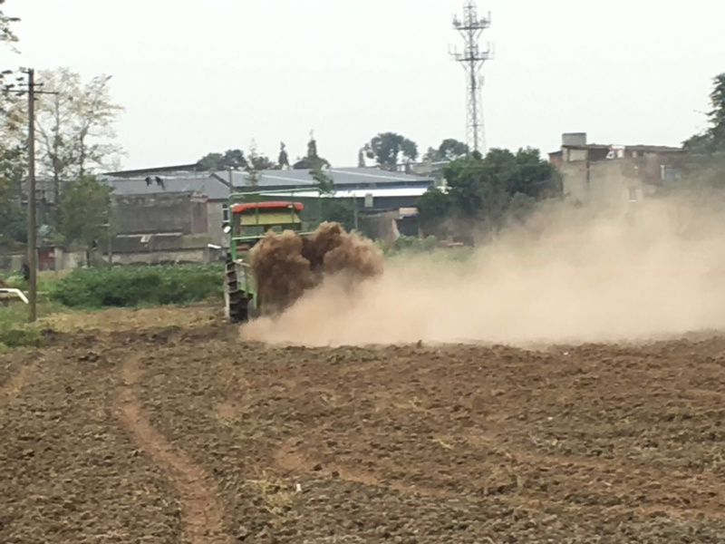 四川省若尔盖草原纯干羊粪，天然绿色有机肥批发