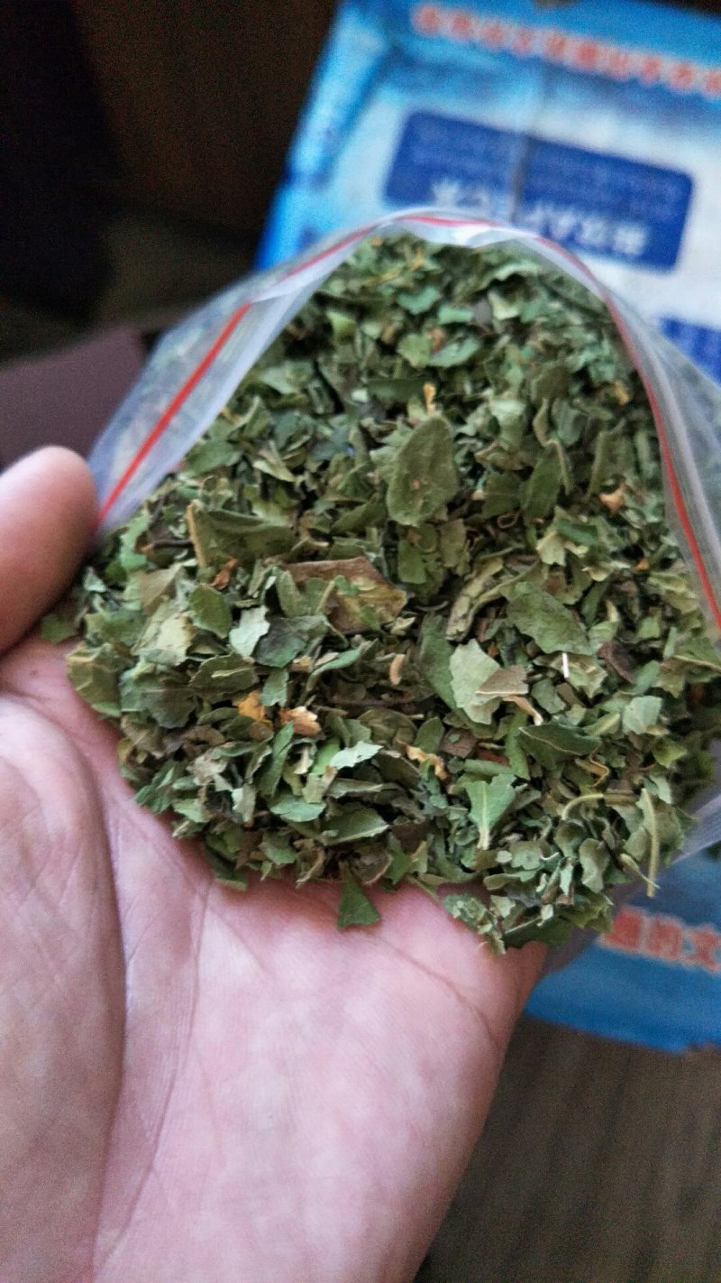 金银花叶
