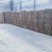 优质遮阴草帘，保温保湿草帘