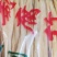 腐竹