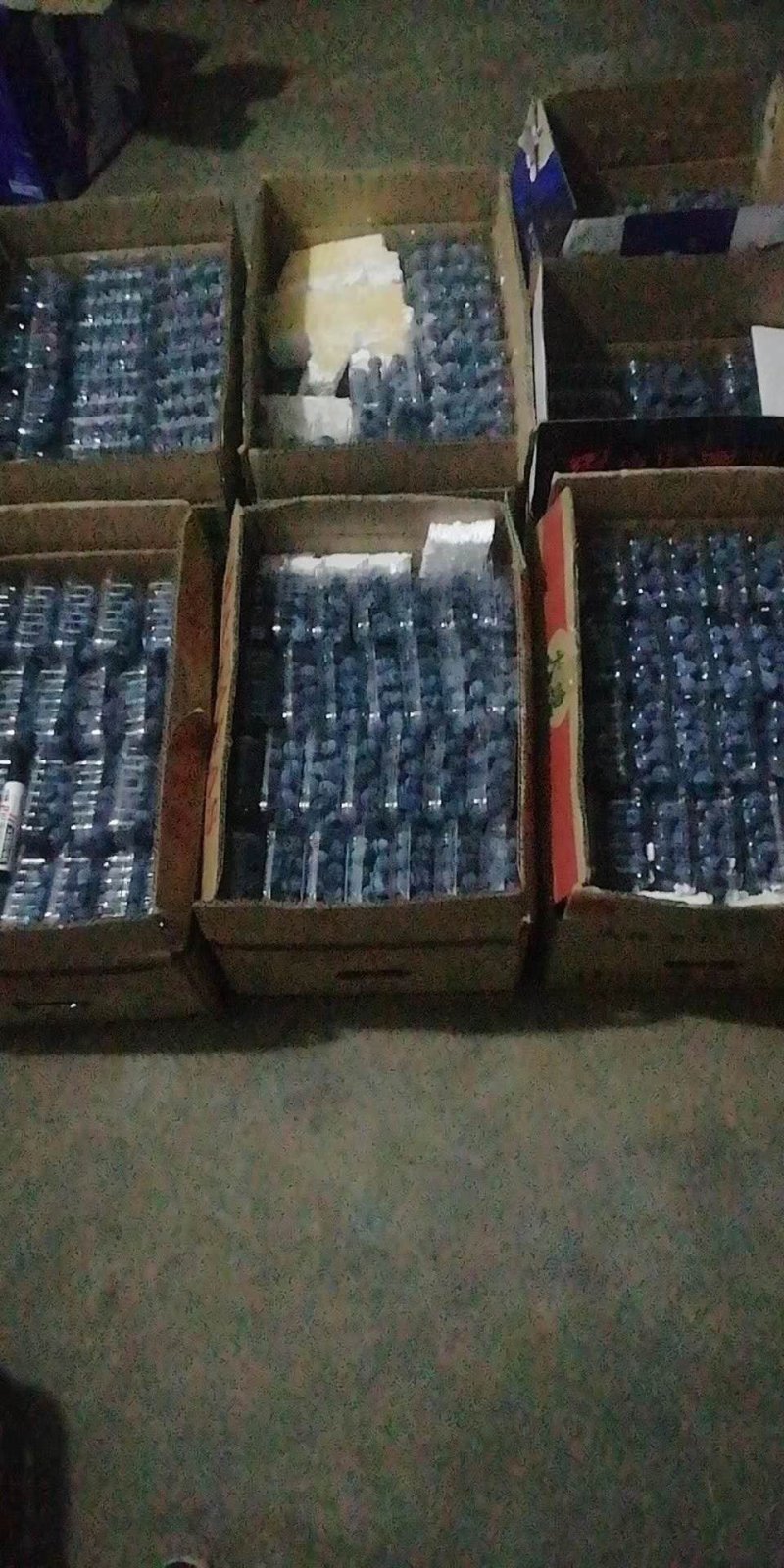 蓝莓