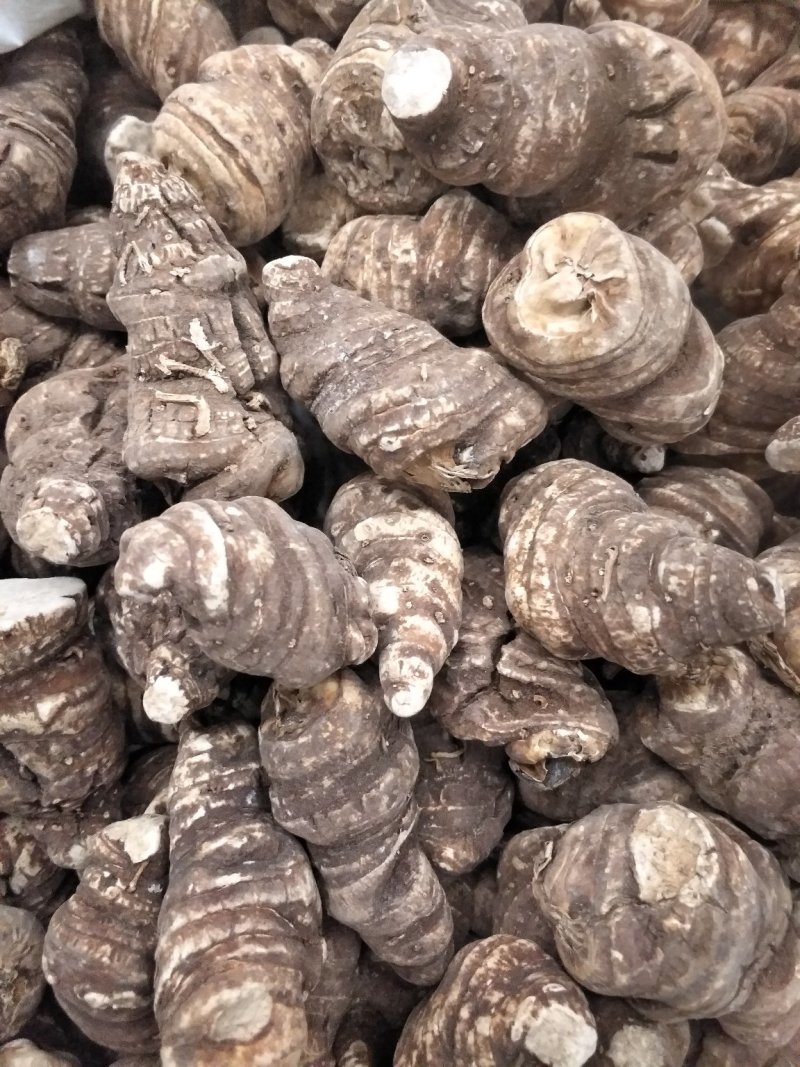 重楼干品重楼片批发各种中药材