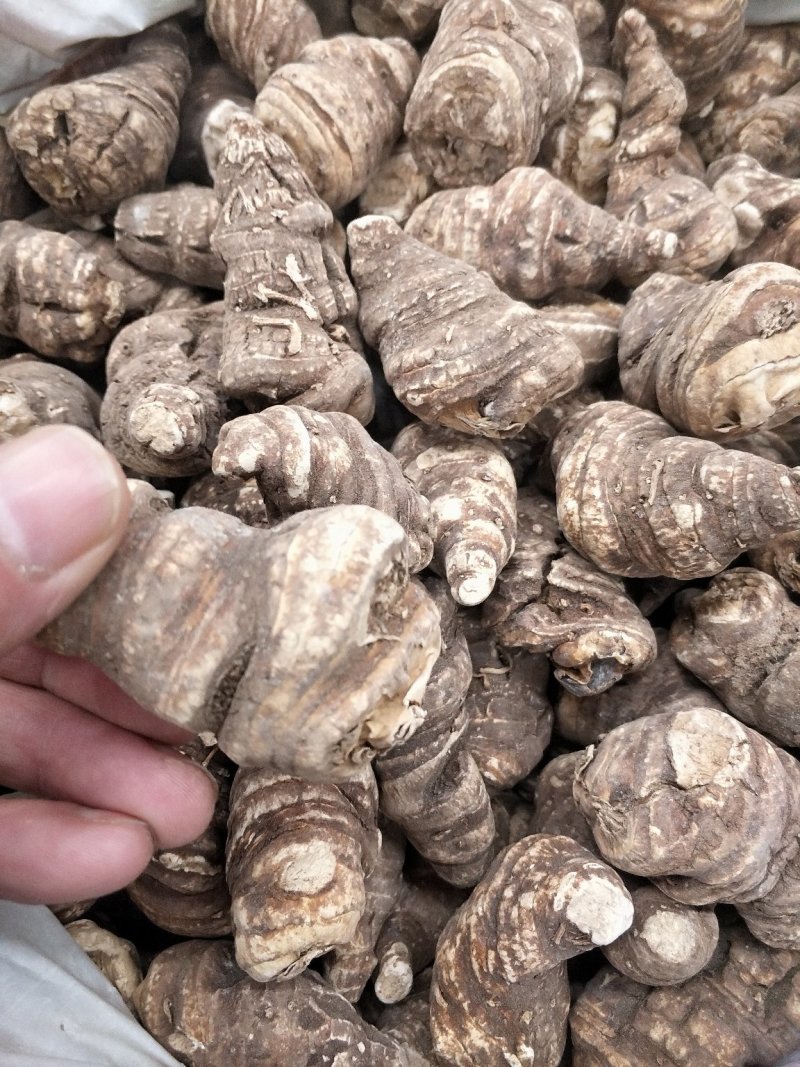 重楼干品重楼片批发各种中药材