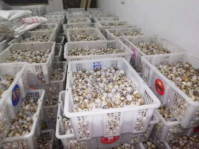 有十万斤欢迎来购急出售快来看看吧全部新鲜