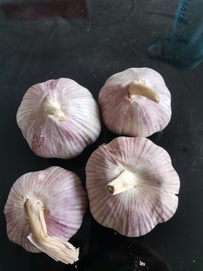 山东金乡大蒜，红皮大蒜，一手货源，冷库储存，代发全国市场