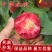 血桃树苗，桃树苗，特大早熟，南北方种植桃树果苗，当年结果
