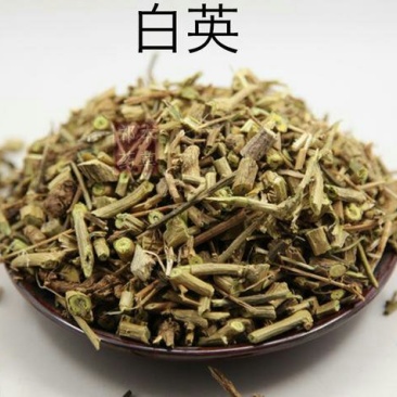 白英，常年批发供应冷背中药材白英