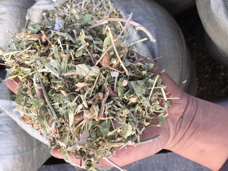 常年出售花生秧牛草，羊草，马草，驴草等，