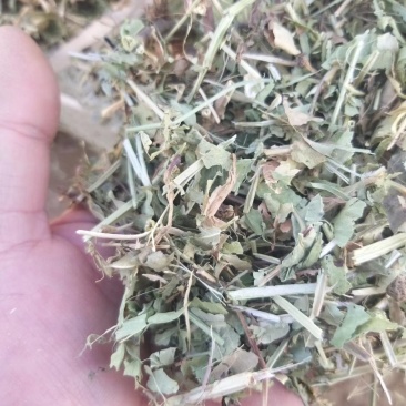 常年出售花生秧牛草，羊草，马草，驴草等，