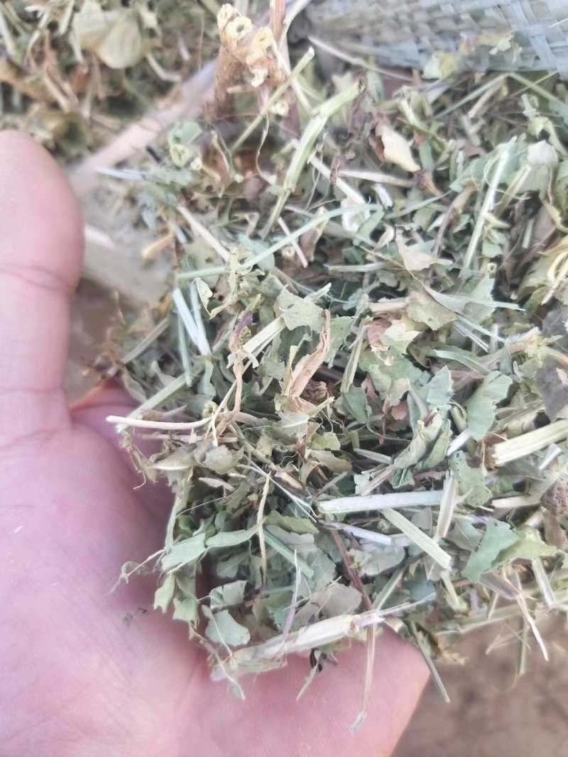 常年出售花生秧牛草，羊草，马草，驴草等，