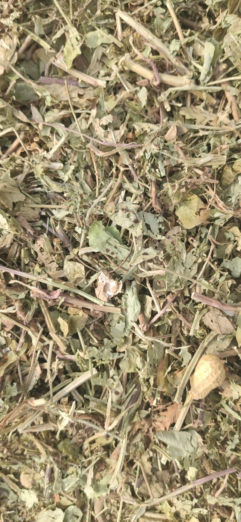 牛草，羊草，馿草，马草，花生秧草段