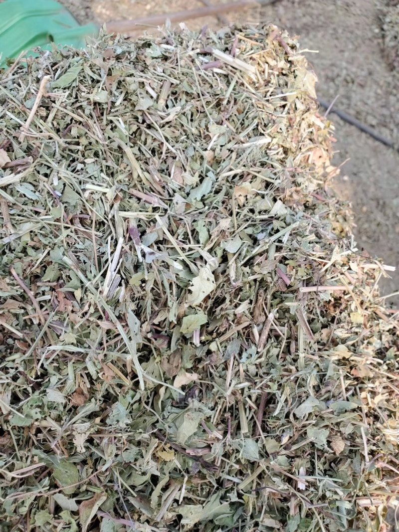 牛草，羊草，馿草，马草，花生秧草段
