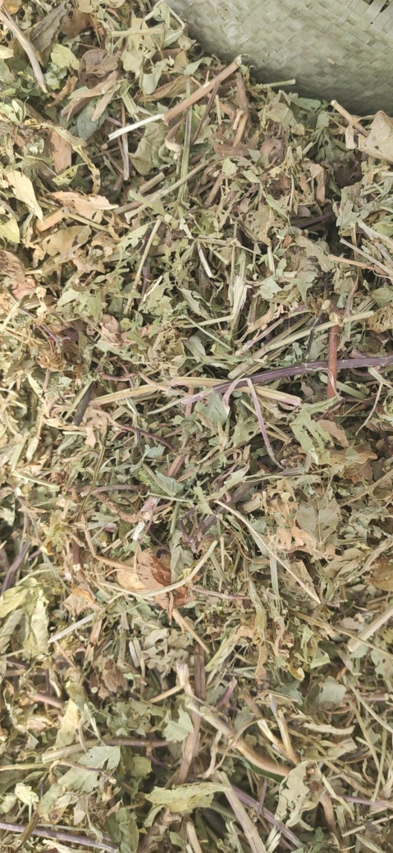 牛草，羊草，馿草，马草，花生秧草段