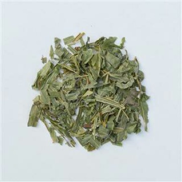 凤尾草，常年批发供应凤尾草中药材