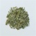凤尾草，常年批发供应凤尾草中药材