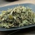 凤尾草，常年批发供应凤尾草中药材