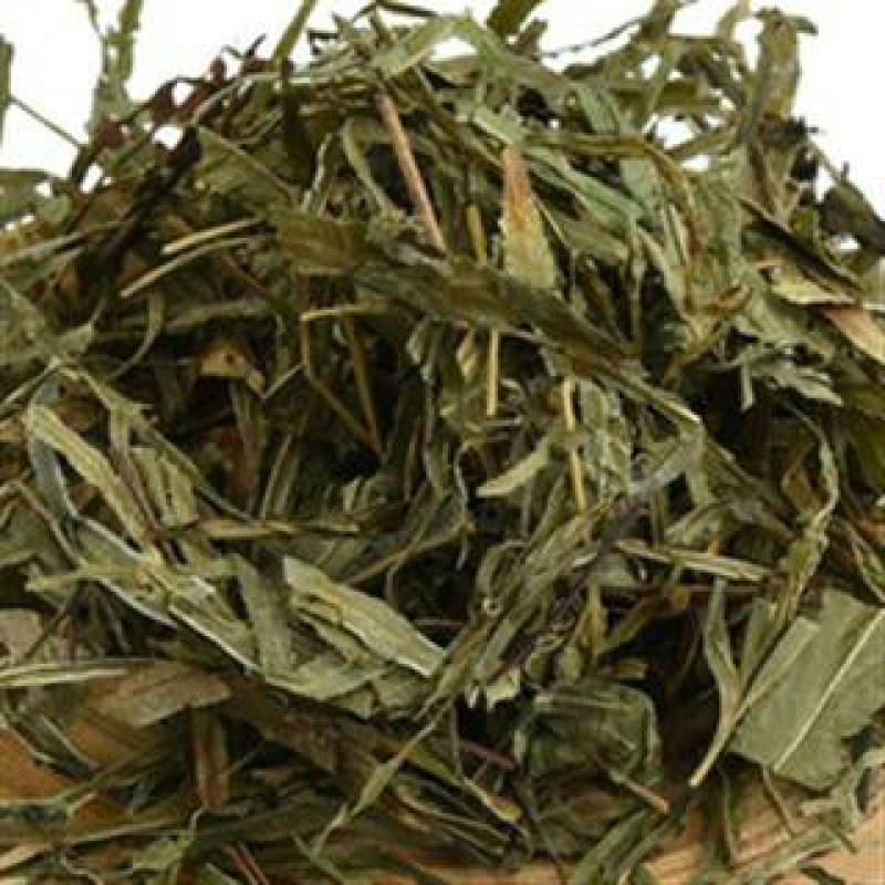 凤尾草，常年批发供应凤尾草中药材