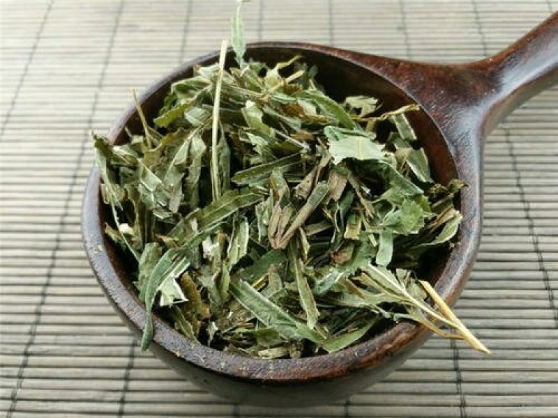 凤尾草，常年批发供应凤尾草中药材