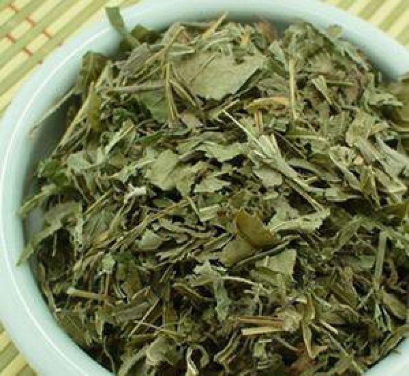 凤尾草，常年批发供应凤尾草中药材