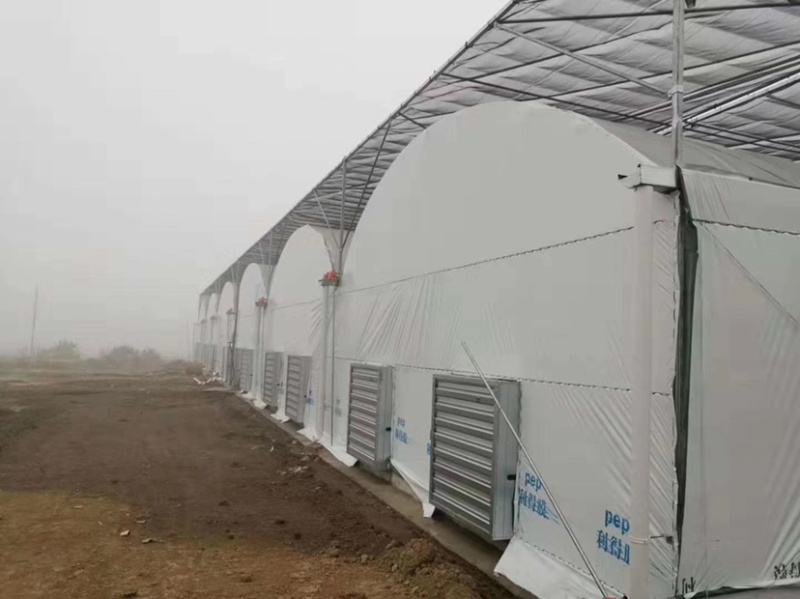 养殖大棚种植大棚养鸡大棚养猪大棚支持订做
