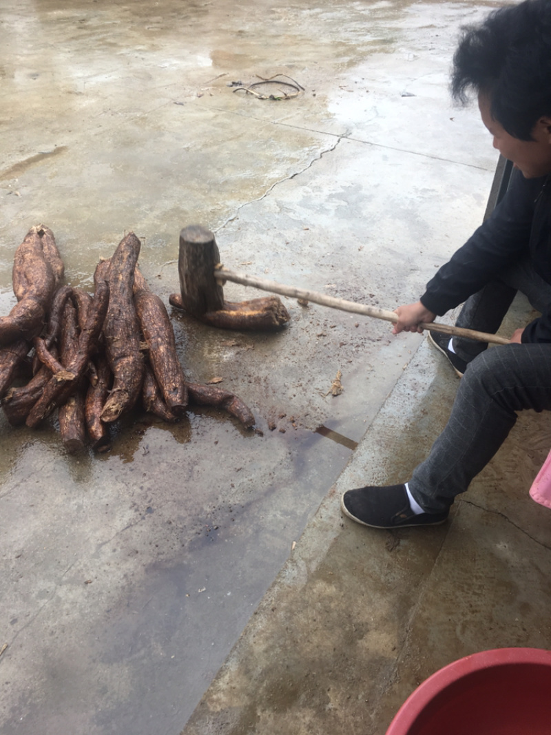 野生纯正葛根粉农家葛根粉大洪山风景区葛粉早餐