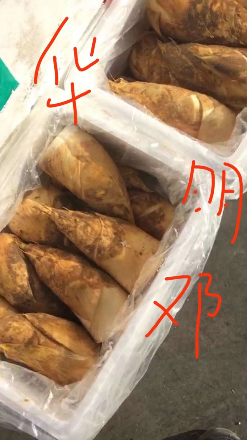 冬笋一斤以上大切，19斤装，