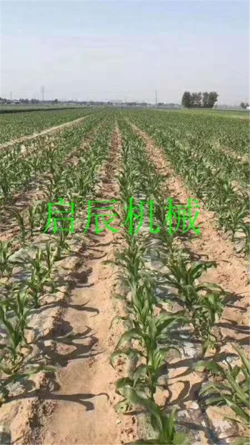 玉米膜上播种机四轮车带农用玉米谷子高梁膜上打孔免扣膜播种