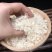 精品网红天然燕碎印尼进口质量正品批发代发包邮