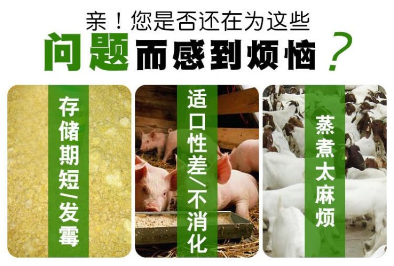 32元一袋的豆渣发酵剂可以发酵三吨的豆腐渣