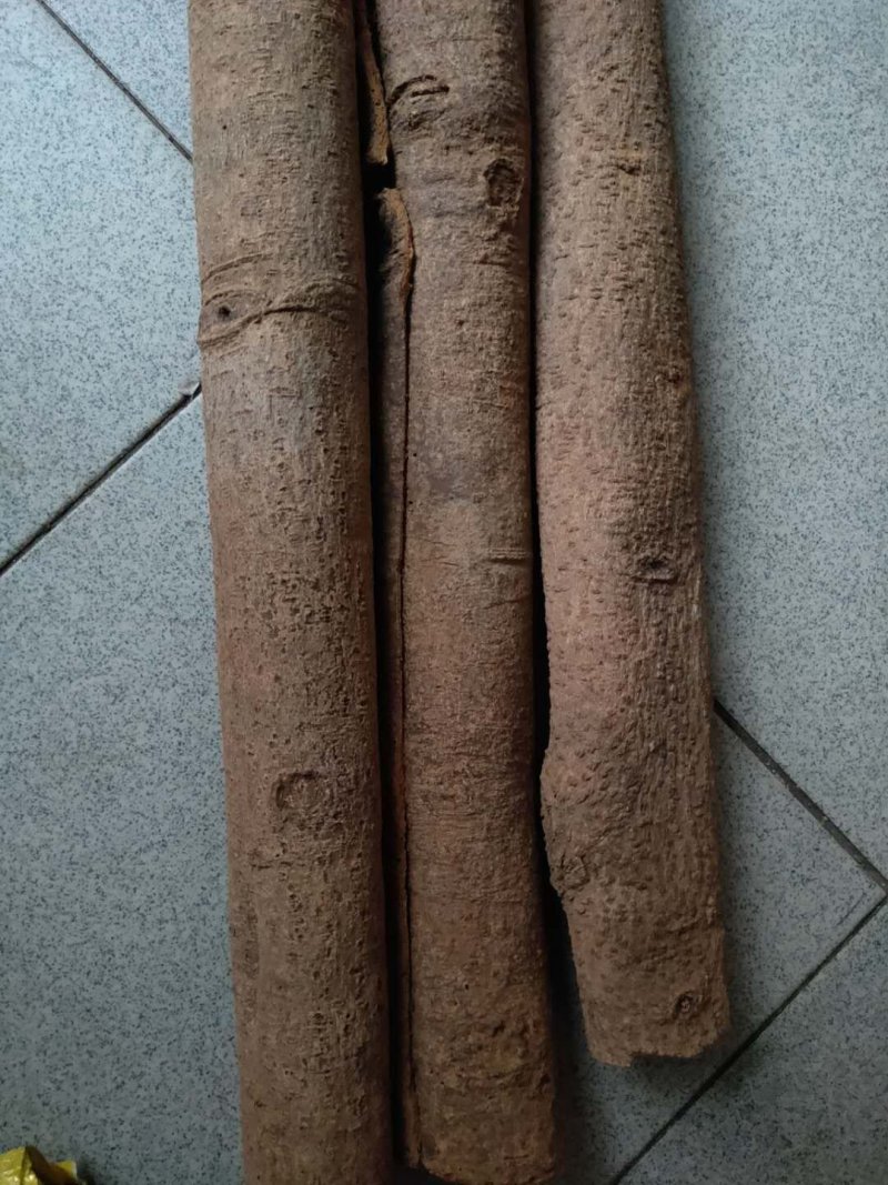 桂皮