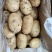 【精品】土豆丽薯六号土豆3两以上量大价优纸箱包装