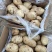 【精品】土豆丽薯六号土豆3两以上量大价优纸箱包装