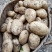 【精品】土豆丽薯六号土豆3两以上量大价优纸箱包装