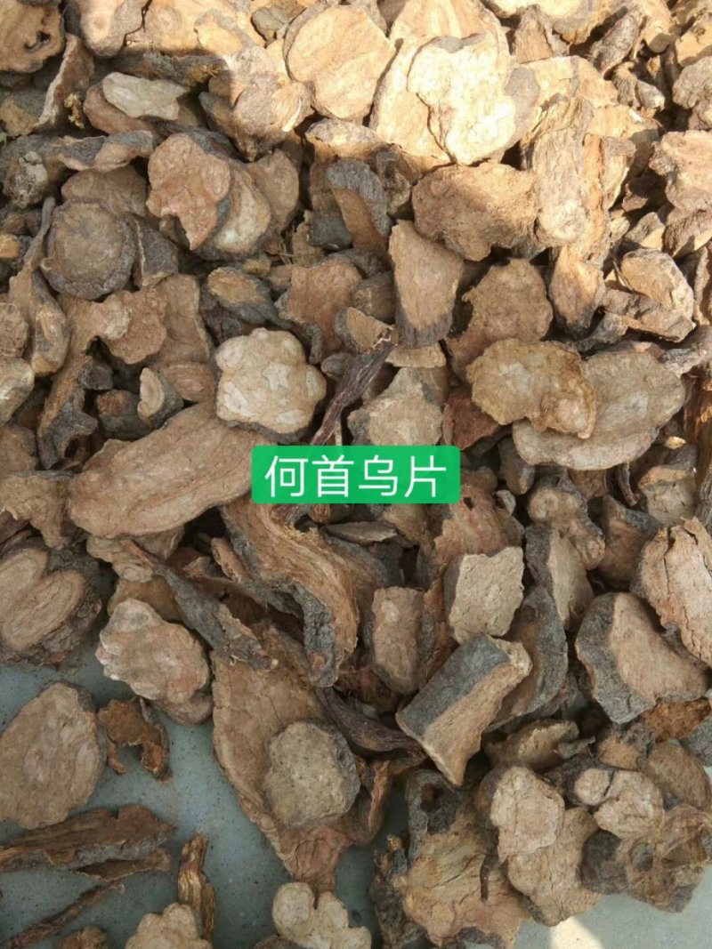 何首乌高产芽苗改良高含量保证品种纯正，保质保量，信誉至上