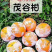柑橘类
