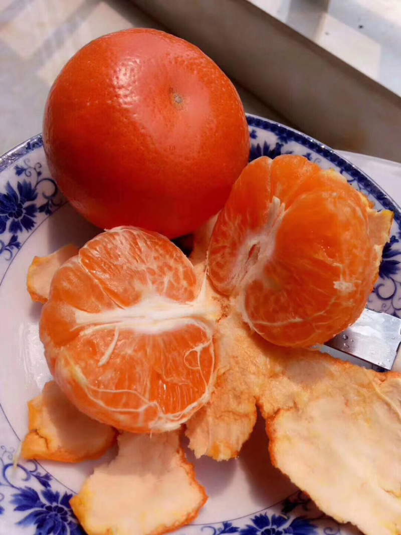 柑橘类