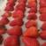 丹东九九草莓，红颜草莓，电商.商超直供，对接市场批发零售