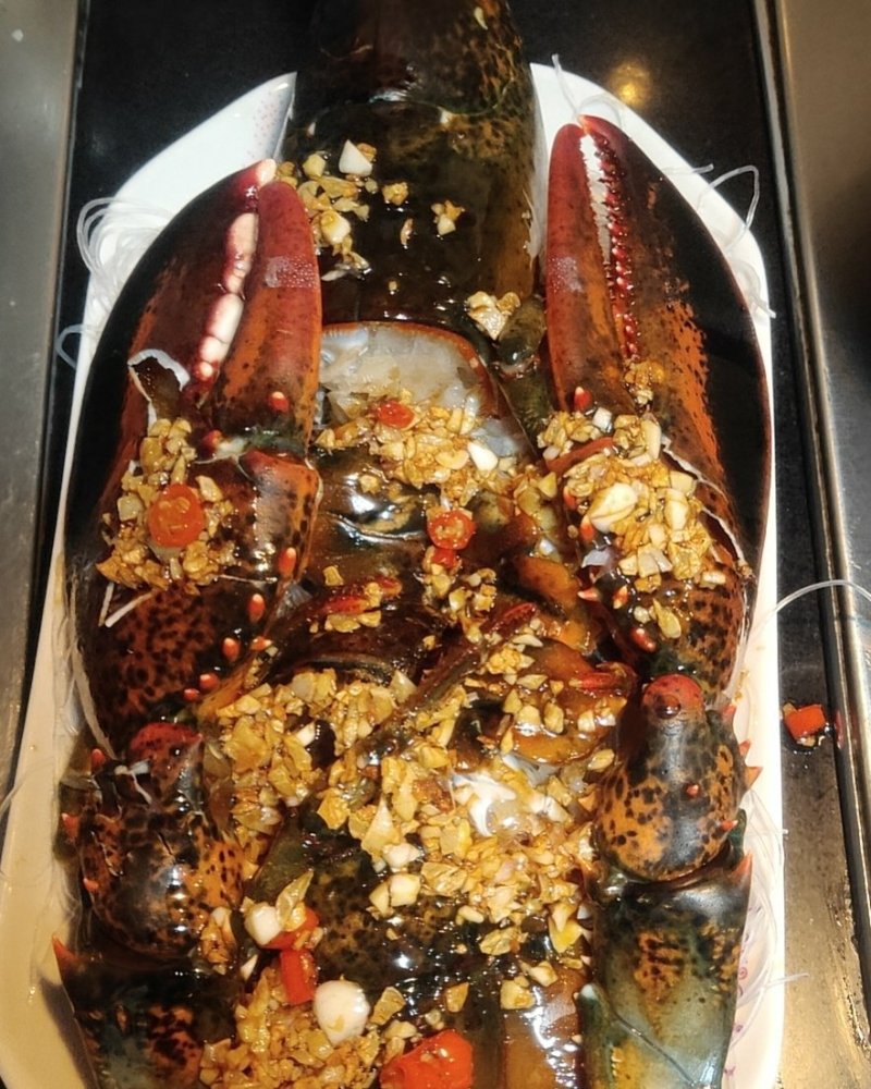 批发鲜活波士顿波龙大量价格优惠
