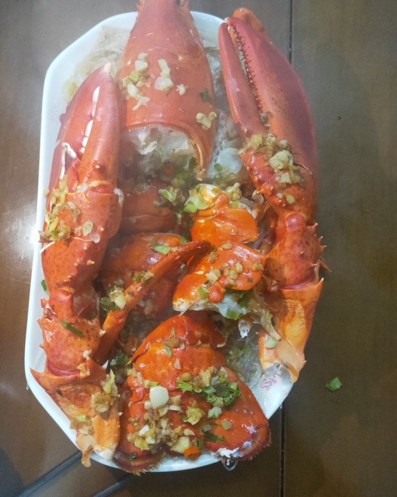 批发鲜活波士顿波龙大量价格优惠