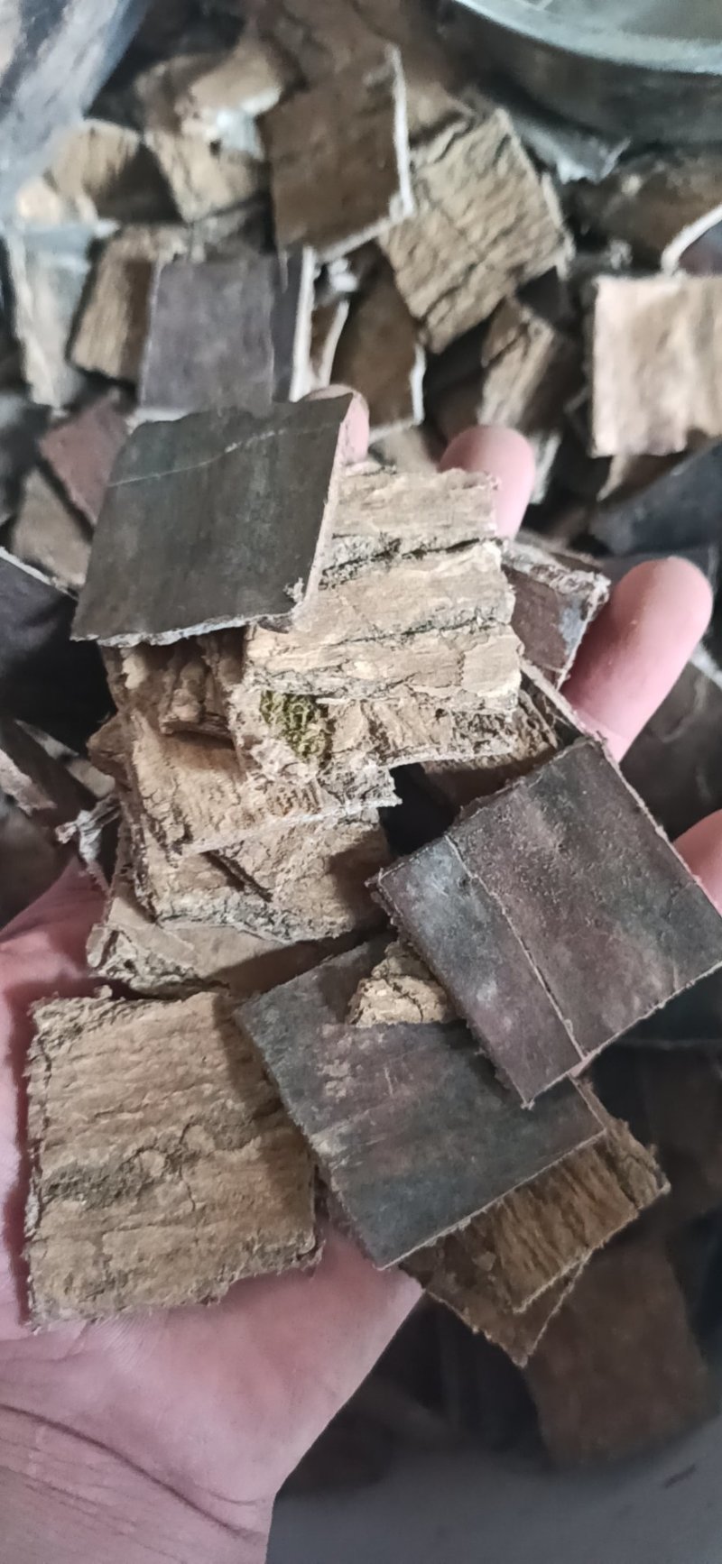 杜仲皮无硫无虫，可打粉专营中药一手货源