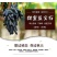 甜蜜蓝宝石葡萄苗，新品种嫁接果树，大苗盆栽地栽，当年结