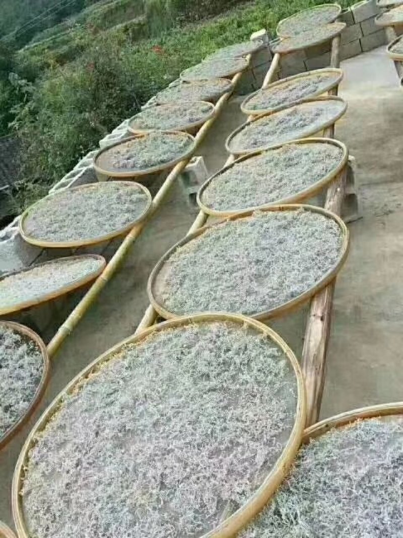 张家界霉茶，，，，，，，，，
