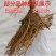 砂糖橘子苗，盆栽带果，南方种当年结果，沙糖大桔子树苗