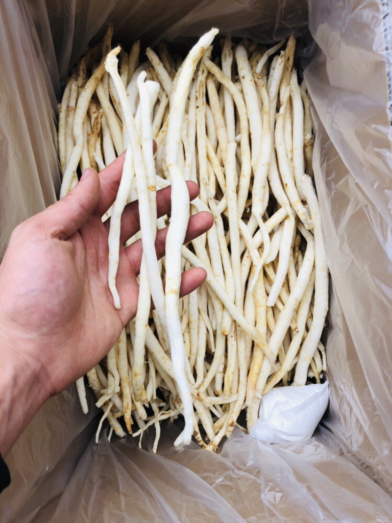 川明参四川金堂货，需要的联系量大从优
