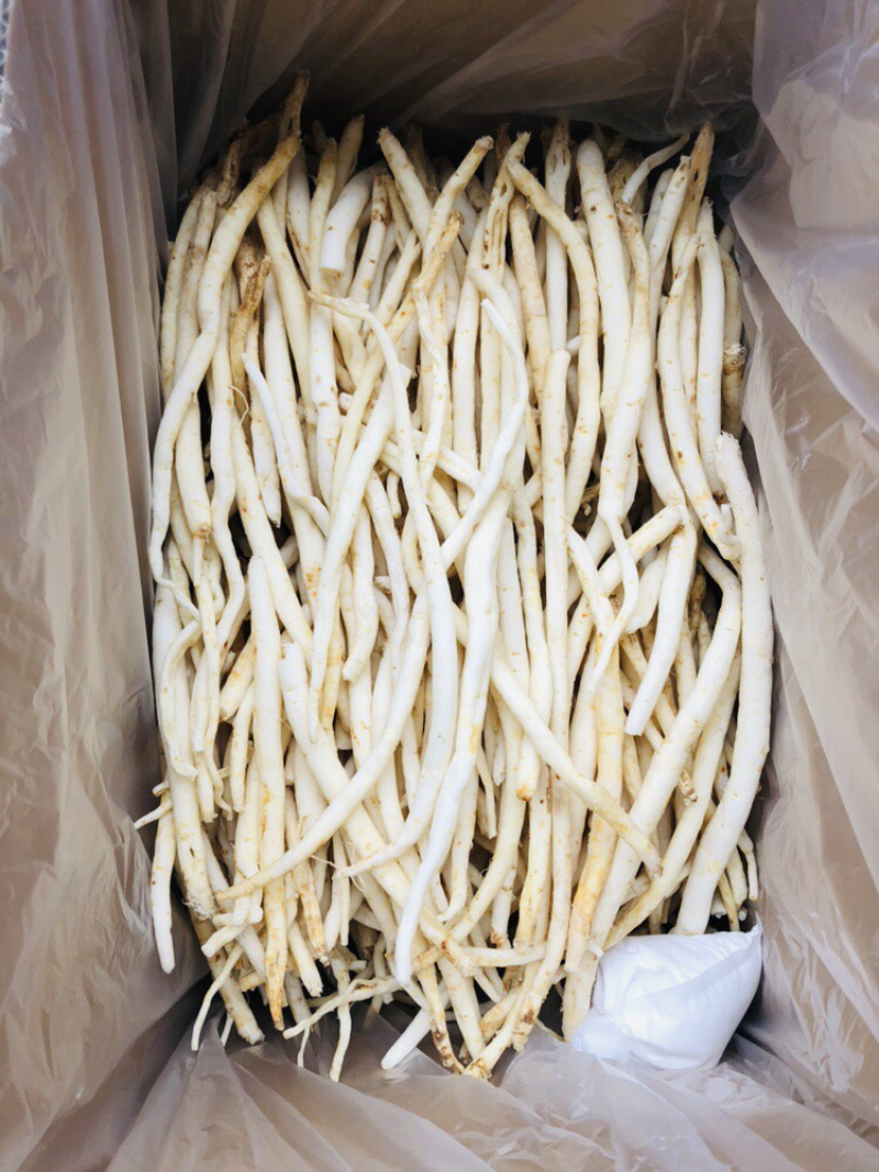 川明参四川金堂货，需要的联系量大从优