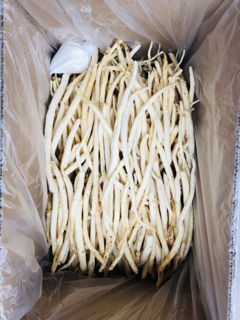 川明参四川金堂货，需要的联系量大从优